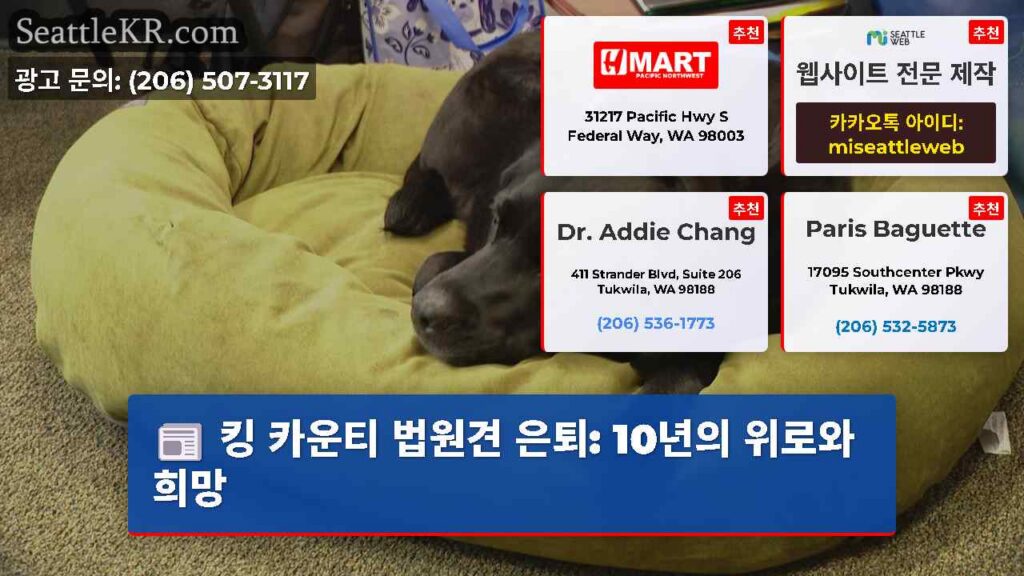 킹 카운티 법원견 은퇴: 10년의 위로와 희망
