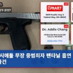 시애틀 무장 중범죄자 펜타닐 흡연 체포 사건