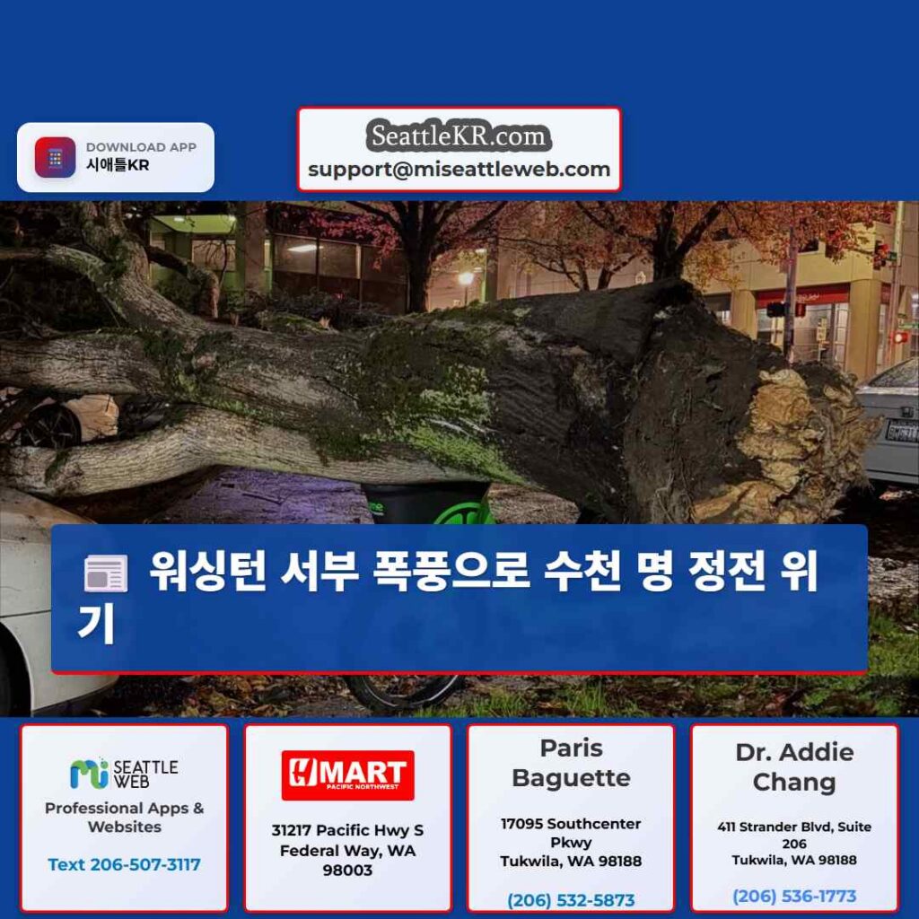 워싱턴 서부 폭풍으로 수천 명 정전 위기