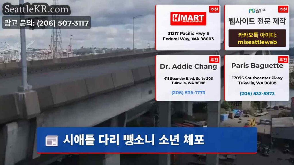 시애틀 다리 뺑소니 소년 체포