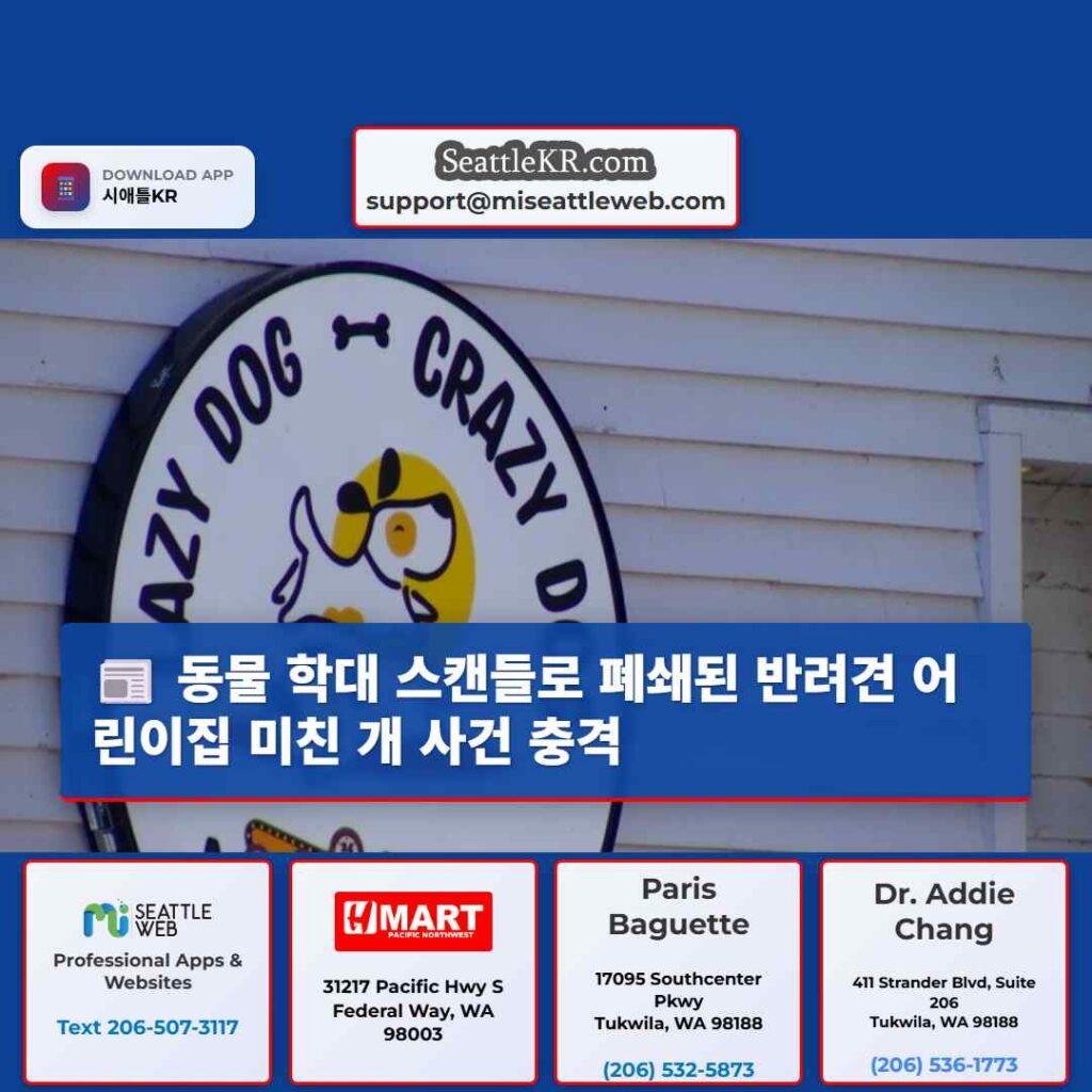 동물 학대 스캔들로 폐쇄된 반려견 어린이집 미친 개 사건 충격