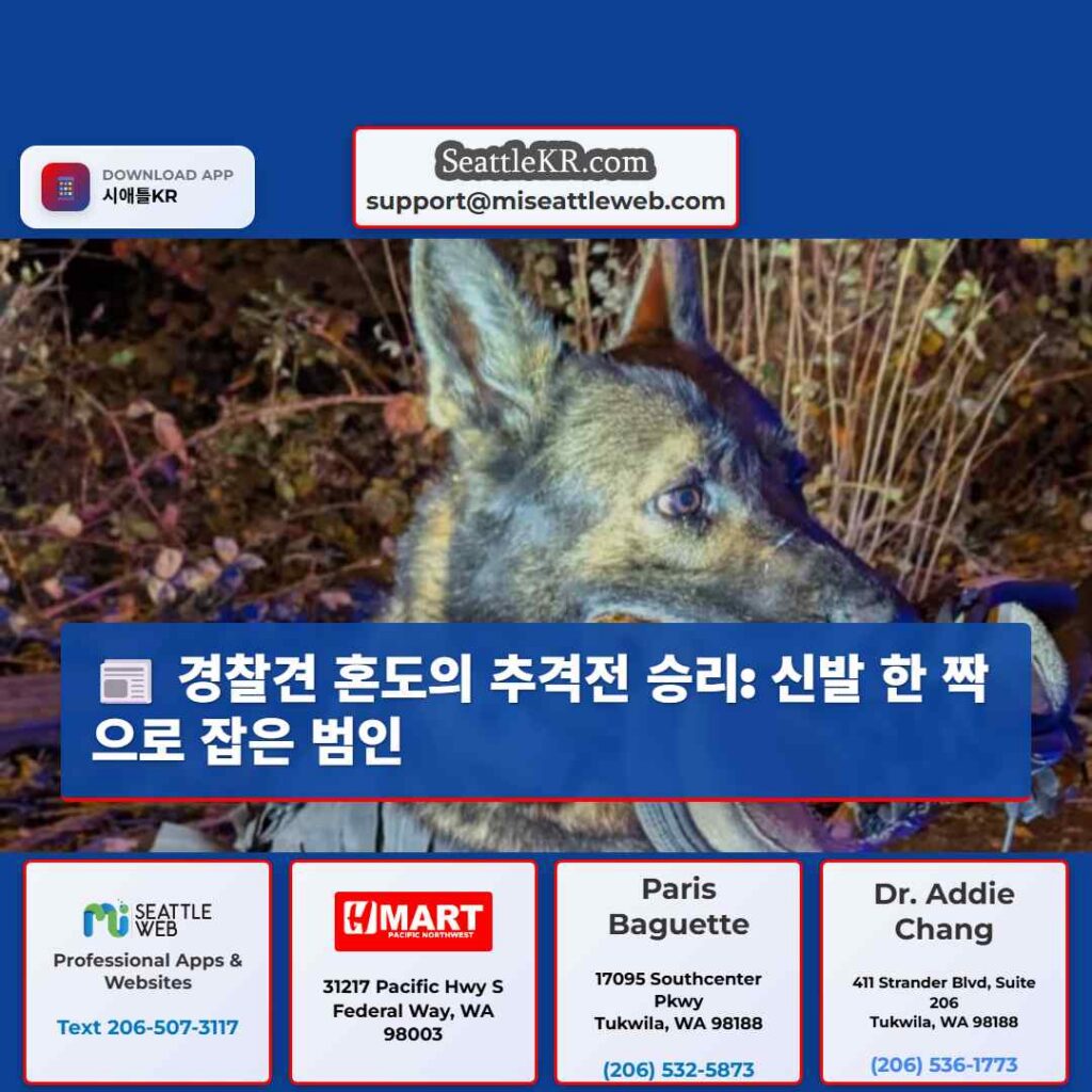 경찰견 혼도의 추격전 승리: 신발 한 짝으로 잡은 범인