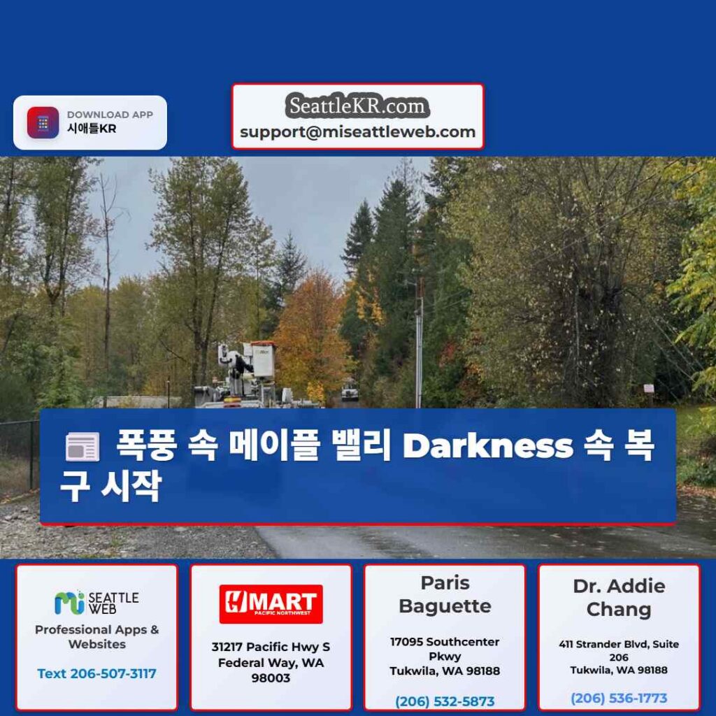 폭풍 속 메이플 밸리 Darkness 속 복구 시작