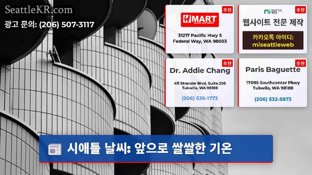 시애틀 날씨: 앞으로 쌀쌀한 기온