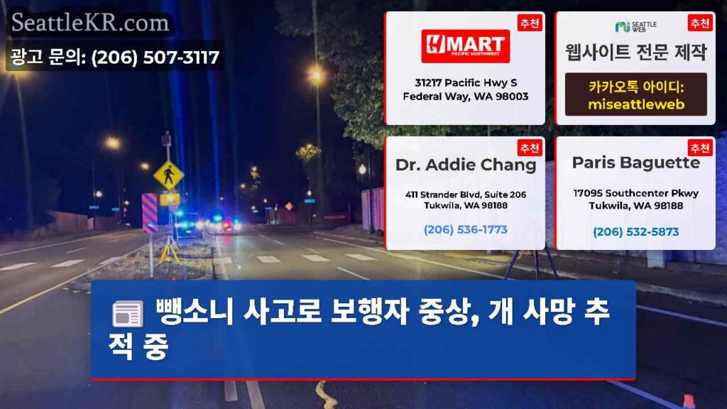 뺑소니 사고로 보행자 중상, 개 사망 추적 중