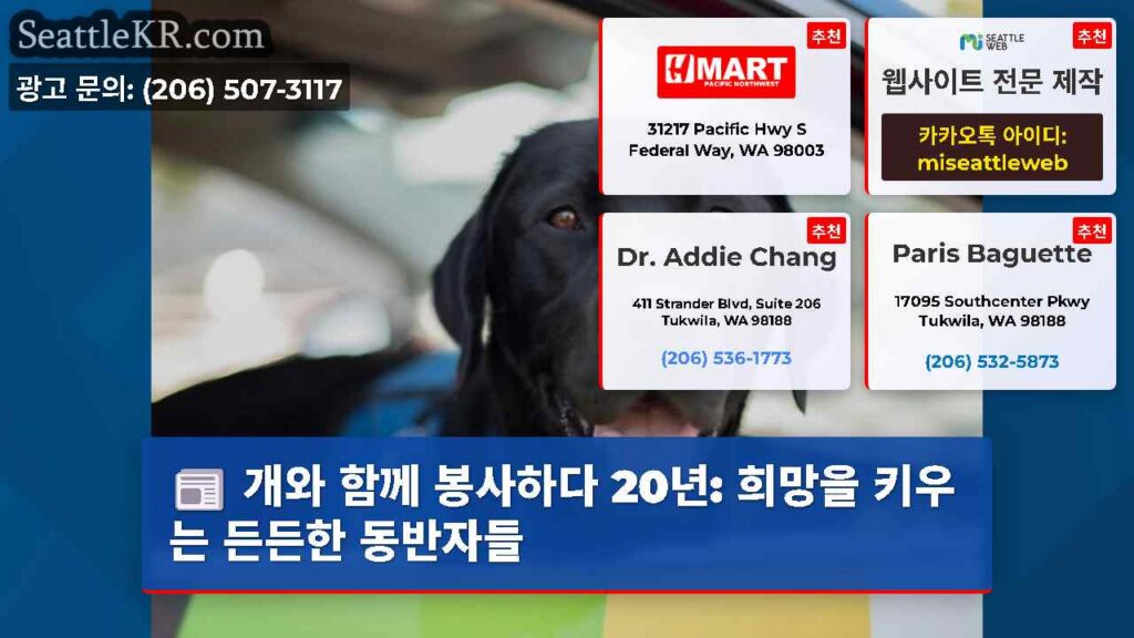 개와 함께 봉사하다 20년: 희망을 키우는 든든한 동반자들
