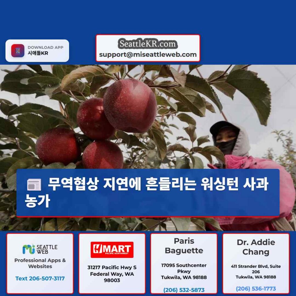 무역협상 지연에 흔들리는 워싱턴 사과농가