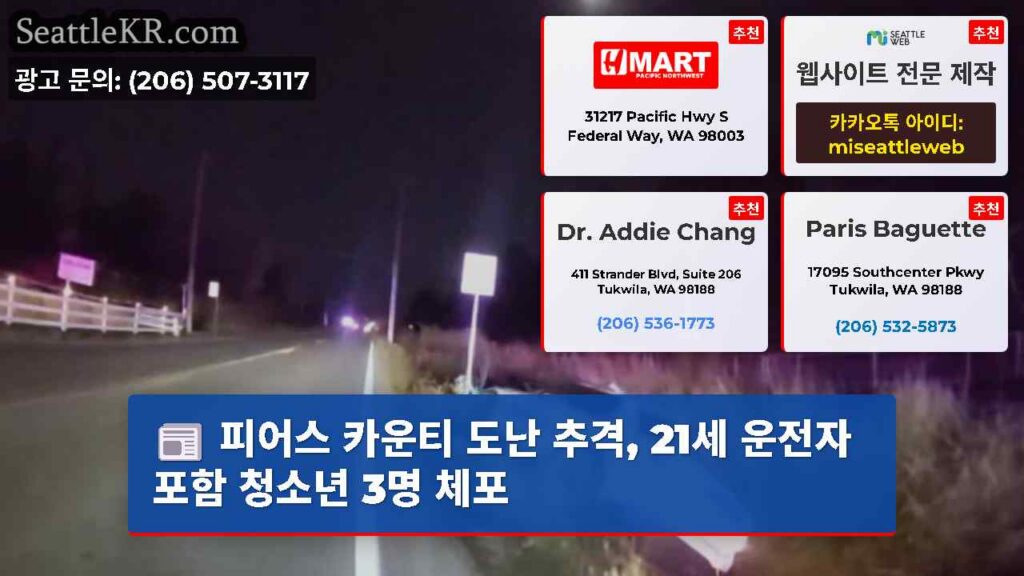 피어스 카운티 도난 추격, 21세 운전자 포함 청소년 3명 체포