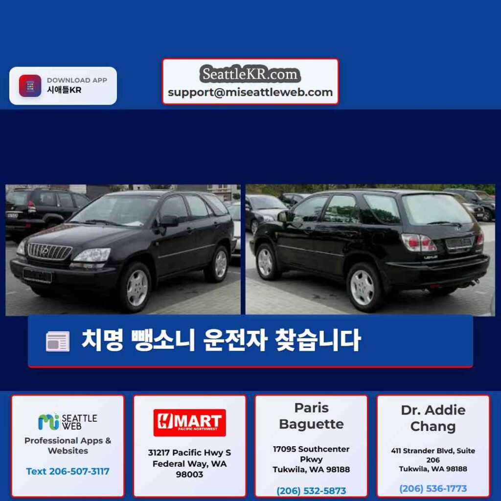 치명 뺑소니 운전자 찾습니다