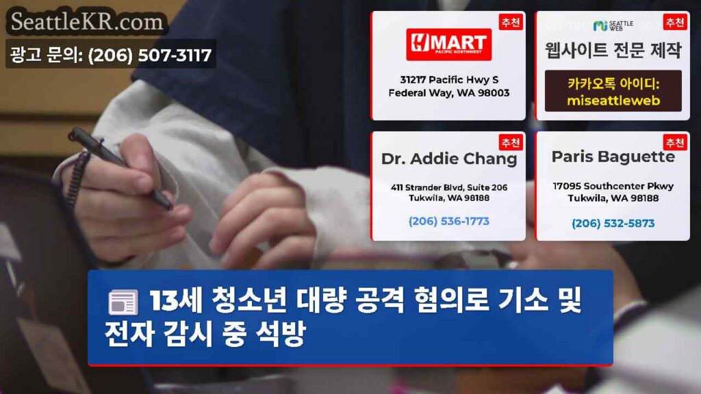 13세 청소년 대량 공격 혐의로 기소 및 전자 감시 중 석방