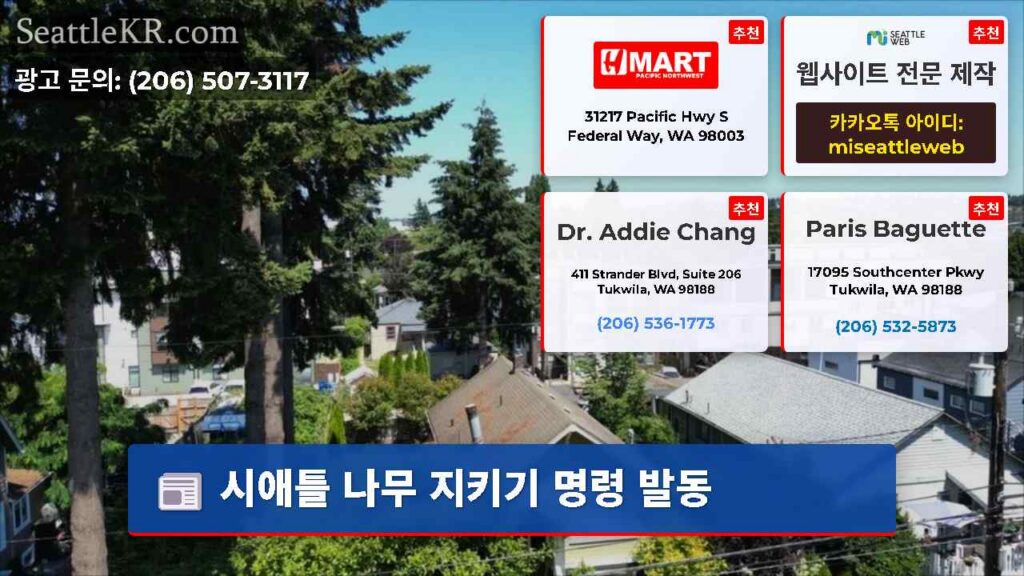 시애틀 나무 지키기 명령 발동
