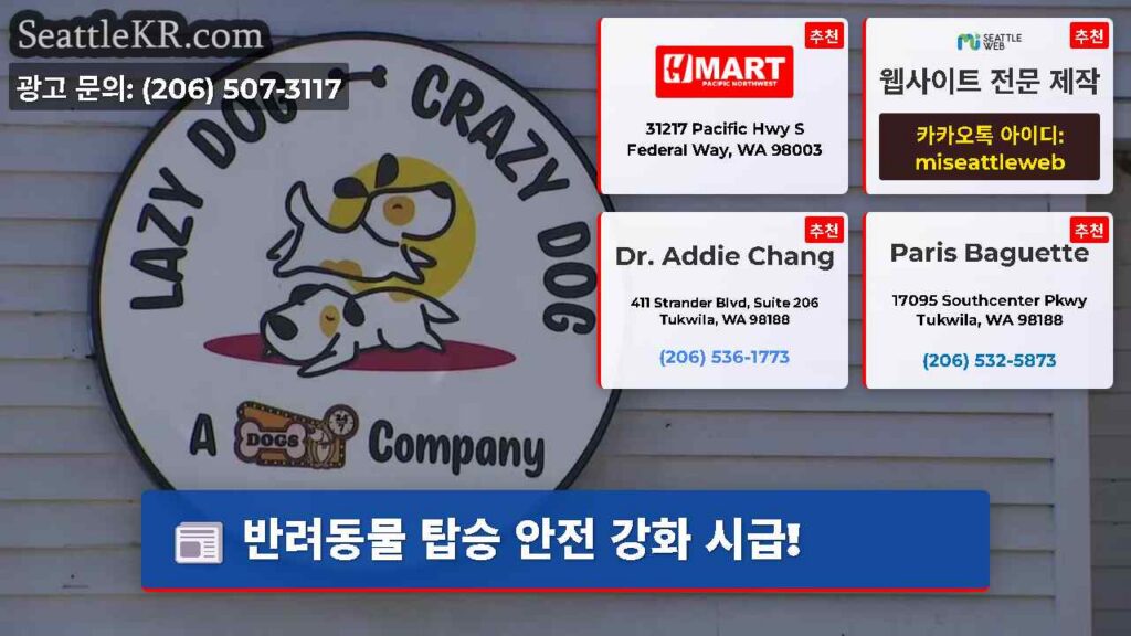 반려동물 탑승 안전 강화 시급!