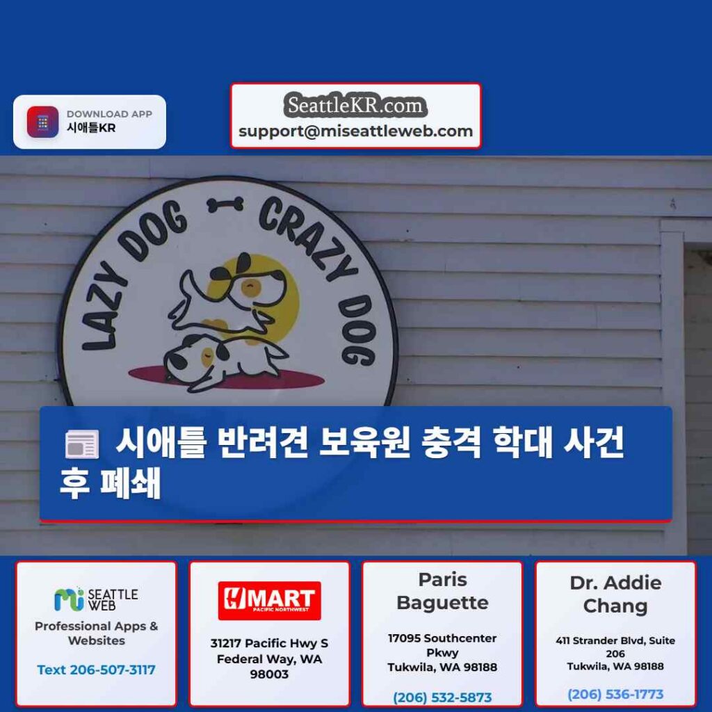 시애틀 반려견 보육원 충격 학대 사건 후 폐쇄