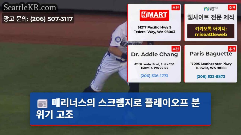 매리너스의 스크램지로 플레이오프 분위기 고조
