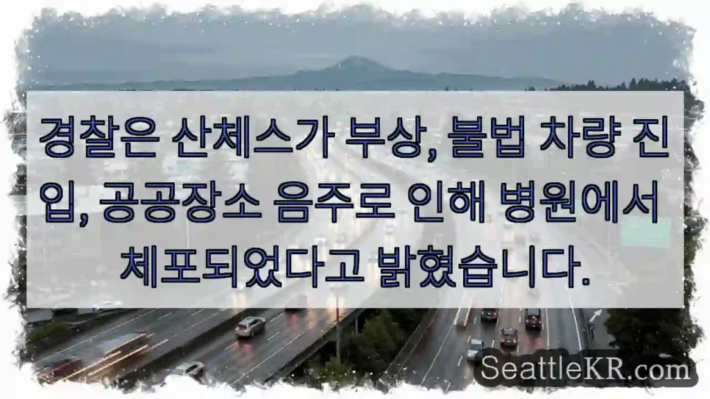 경찰은 산체스가 부상, 불법 차량 진입, 공공장소 음주로 인해 병원에서 체포되었다고