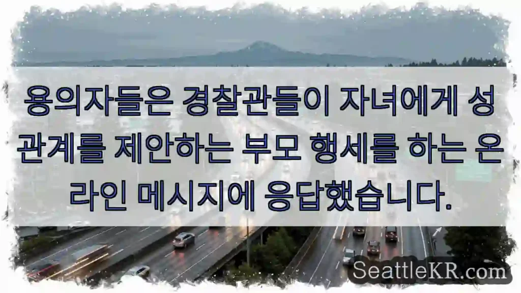 용의자들은 경찰관들이 자녀에게 성관계를 제안하는 부모 행세를 하는 온라인 메시지에