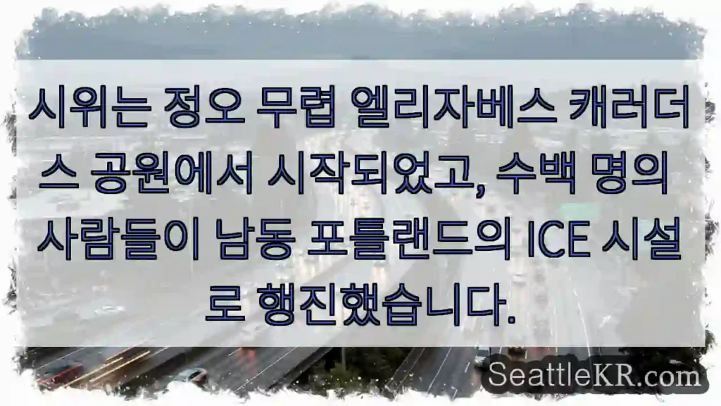 시위는 정오 무렵 엘리자베스 캐러더스 공원에서 시작되었고, 수백 명의 사람들이 남동