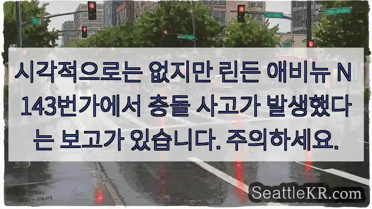 시각적으로는 없지만 린든 애비뉴 N 143번가에서 충돌 사고가 발생했다는 보고가