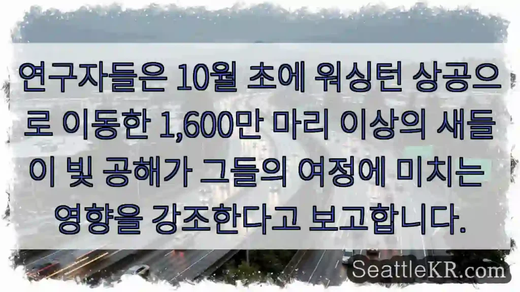 연구자들은 10월 초에 워싱턴 상공으로 이동한 1,600만 마리 이상의 새들이 빛 공해가