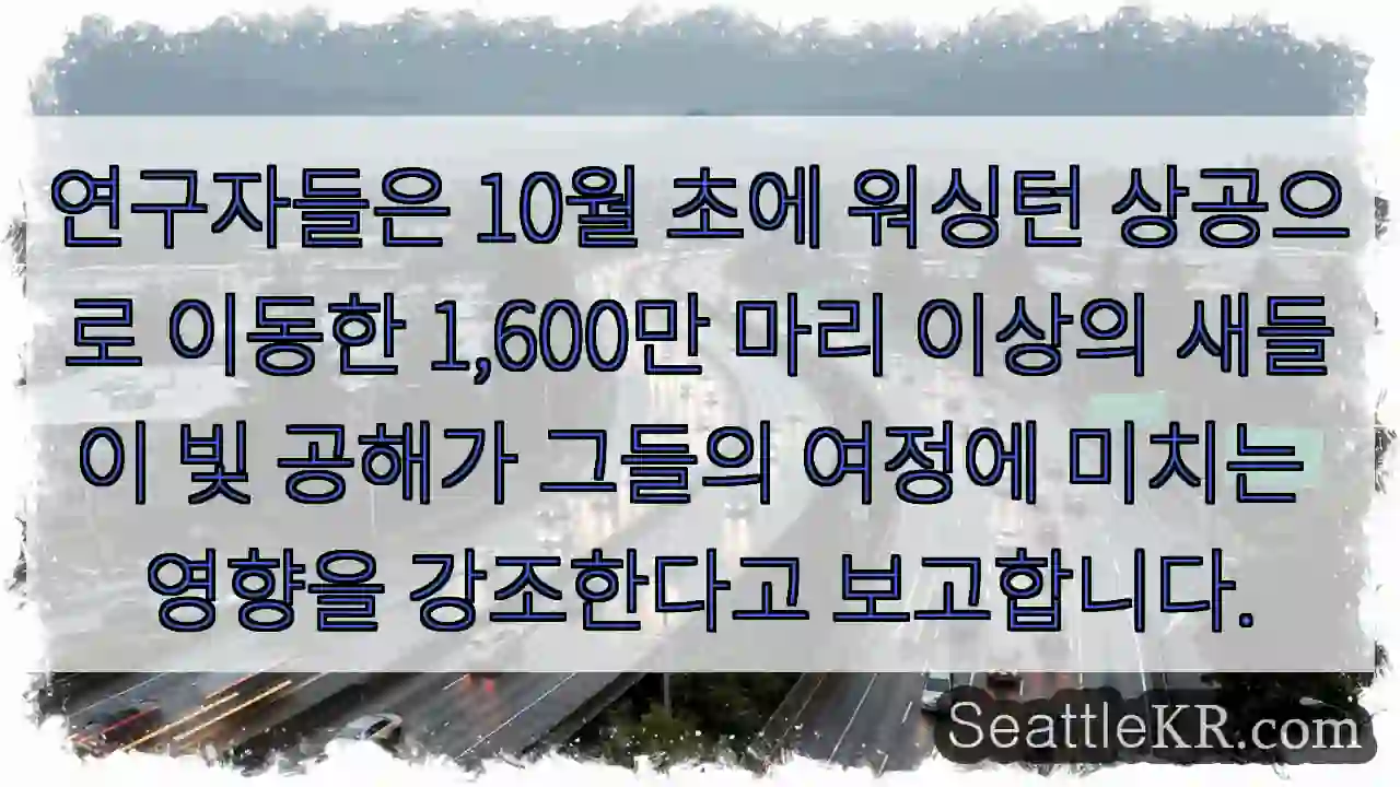 연구자들은 10월 초에 워싱턴 상공으로 이동한 1,600만 마리 이상의 새들이 빛 공해가