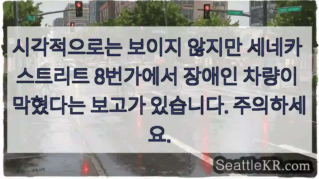 시각적으로는 보이지 않지만 세네카 스트리트 8번가에서 장애인 차량이 막혔다는 보고가