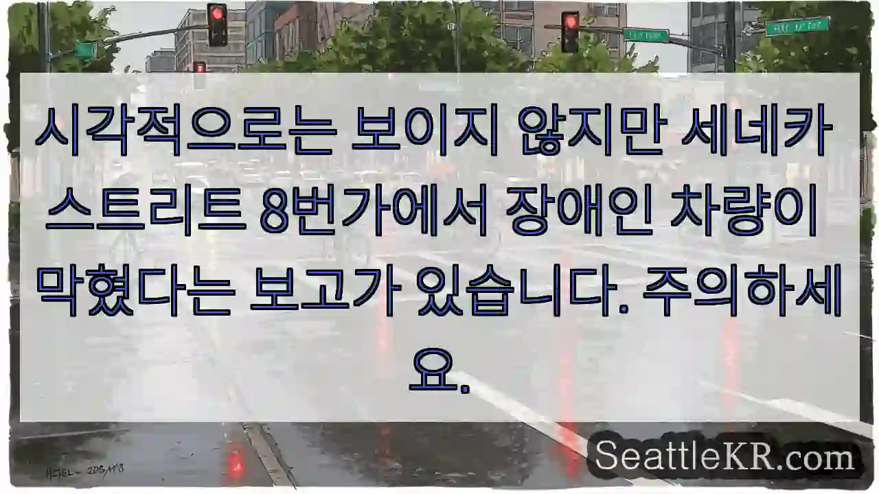 시각적으로는 보이지 않지만 세네카 스트리트 8번가에서 장애인 차량이 막혔다는 보고가