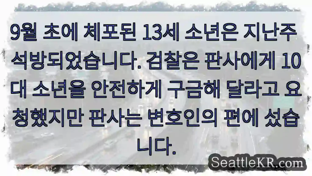 9월 초에 체포된 13세 소년은 지난주 석방되었습니다. 검찰은 판사에게 10대 소년을