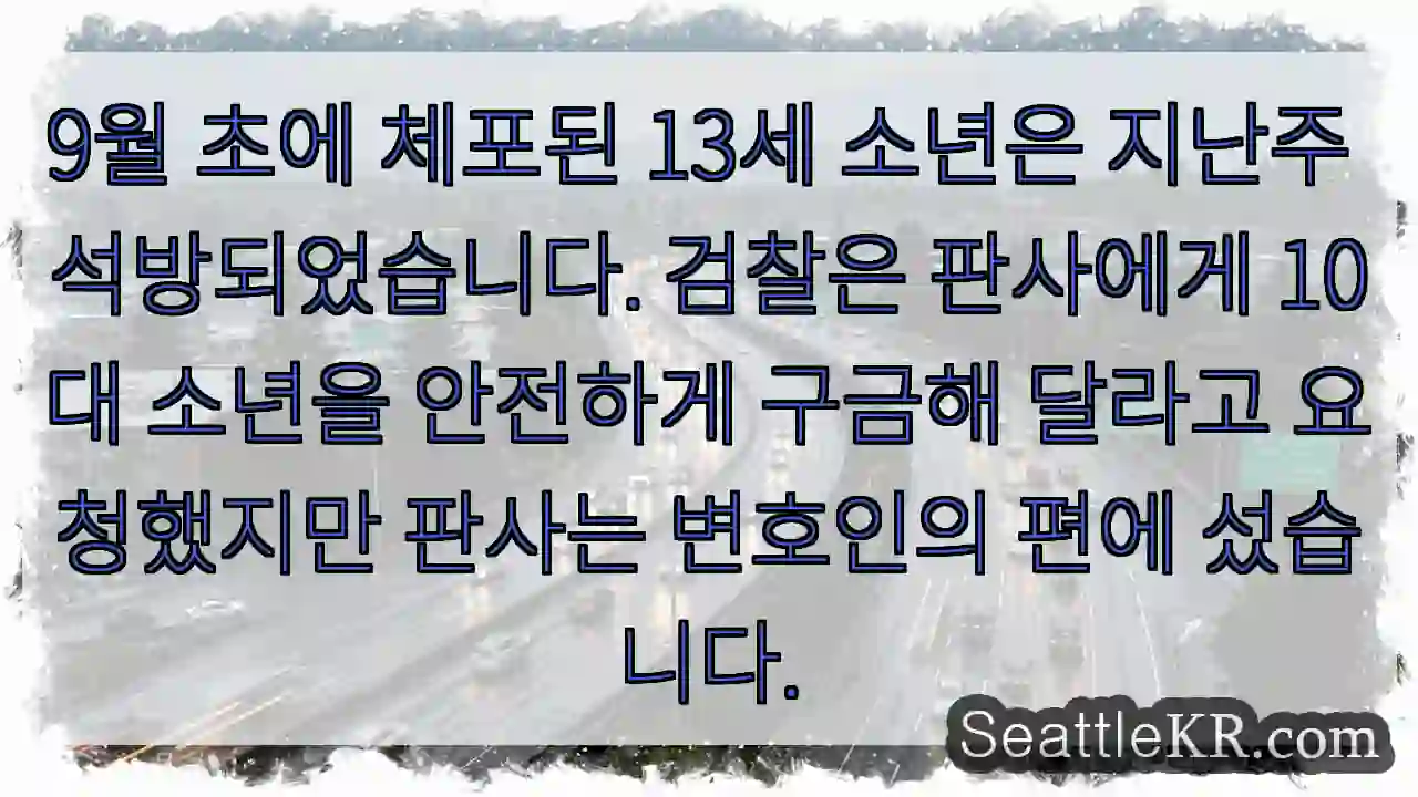 9월 초에 체포된 13세 소년은 지난주 석방되었습니다. 검찰은 판사에게 10대 소년을