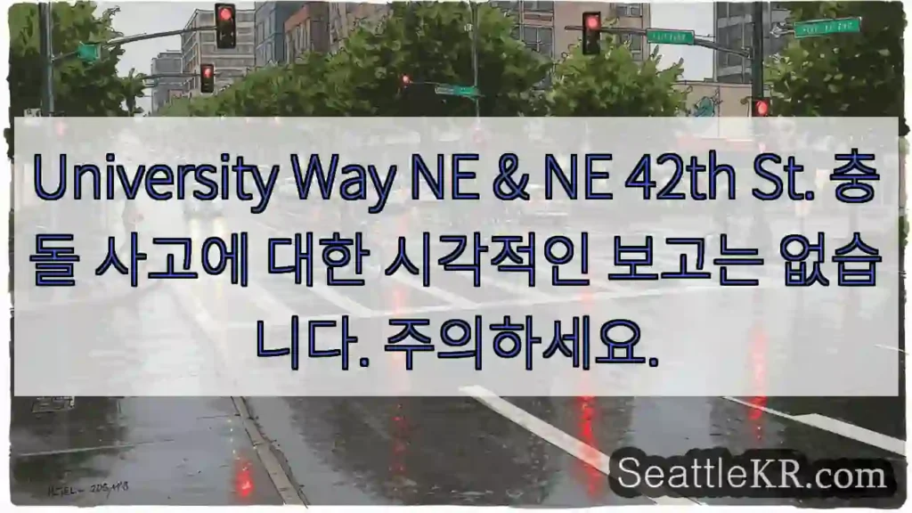 University Way NE & NE 42th St. 충돌 사고에 대한 시각적인