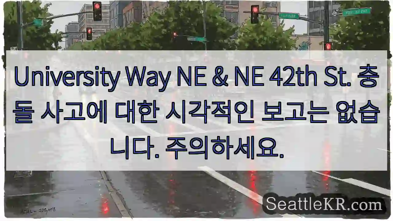 University Way NE & NE 42th St. 충돌 사고에 대한 시각적인