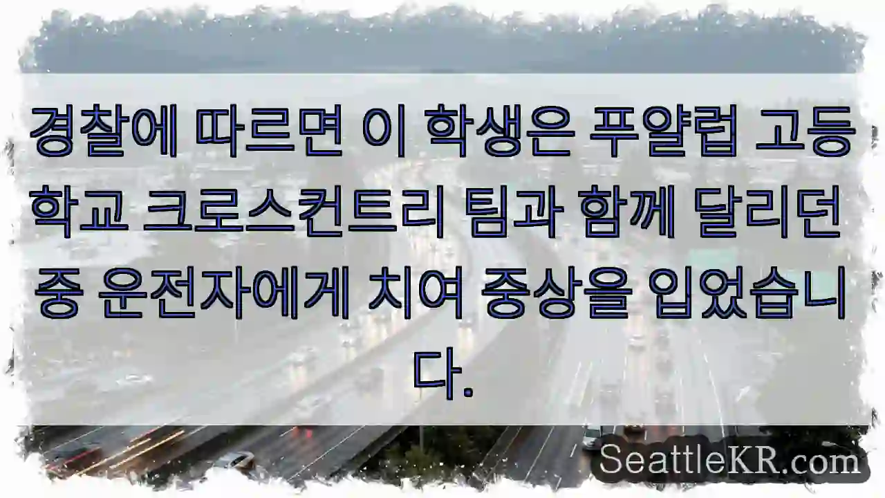 경찰에 따르면 이 학생은 푸얄럽 고등학교 크로스컨트리 팀과 함께 달리던 중 운전자에게