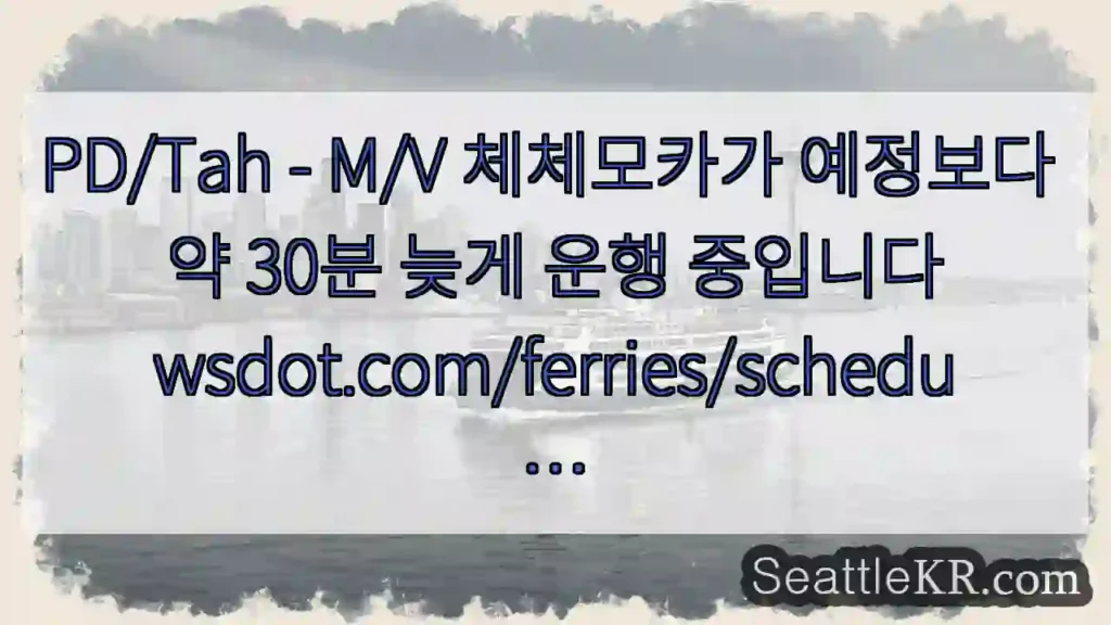 PD/Tah - M/V 체체모카가 예정보다 약 30분 늦게 운행