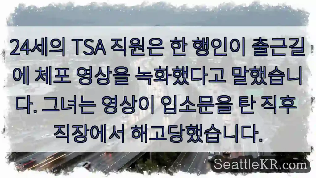 24세의 TSA 직원은 한 행인이 출근길에 체포 영상을 녹화했다고 말했습니다. 그녀는