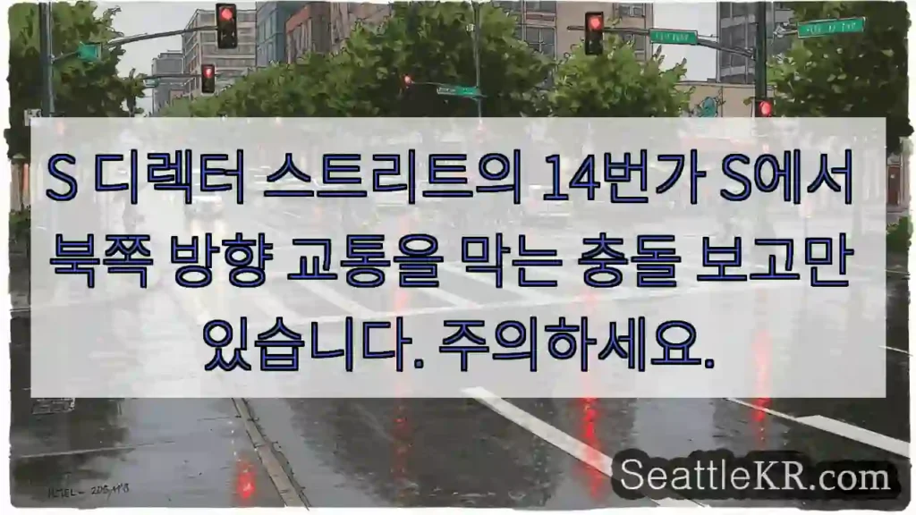 S 디렉터 스트리트의 14번가 S에서 북쪽 방향 교통을 막는 충돌 보고만 있습니다.
