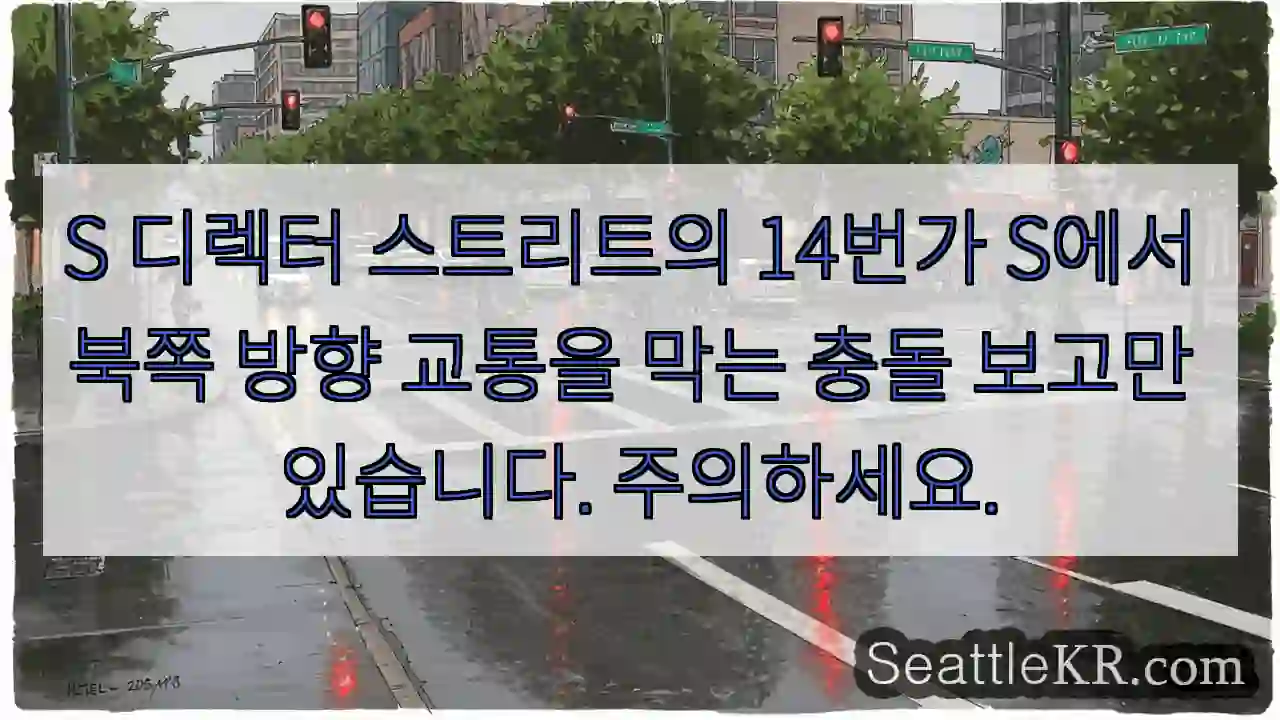 S 디렉터 스트리트의 14번가 S에서 북쪽 방향 교통을 막는 충돌 보고만 있습니다.