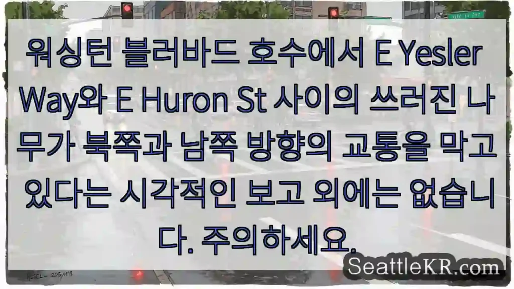 워싱턴 블러바드 호수에서 E Yesler Way와 E Huron St 사이의 쓰러진