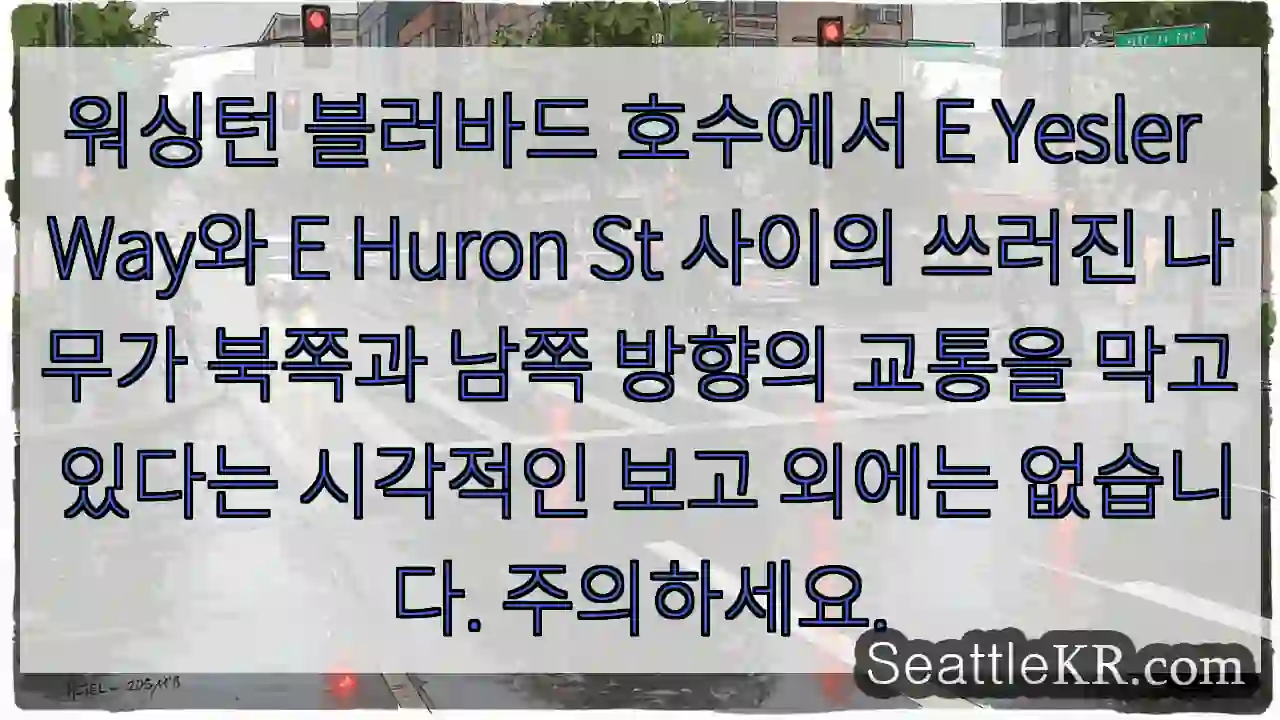워싱턴 블러바드 호수에서 E Yesler Way와 E Huron St 사이의 쓰러진 1 워싱턴 블러바드 호수에서 E Yesler Way와 E Huron St 사이의 쓰러진