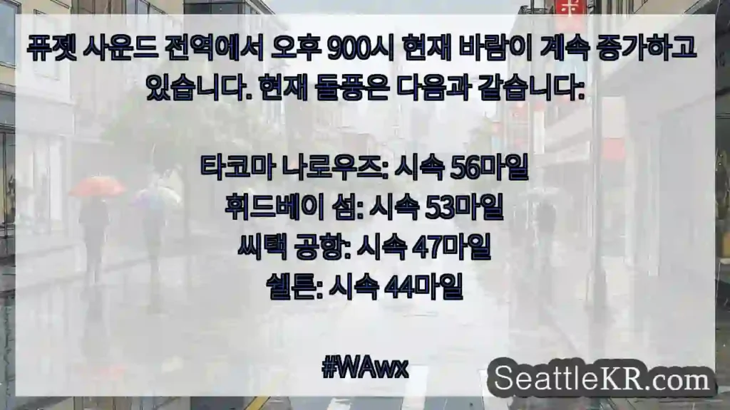 퓨젯 사운드 전역에서 오후 900시 현재 바람이 계속 증가하고 있습니다. 현재 돌풍은