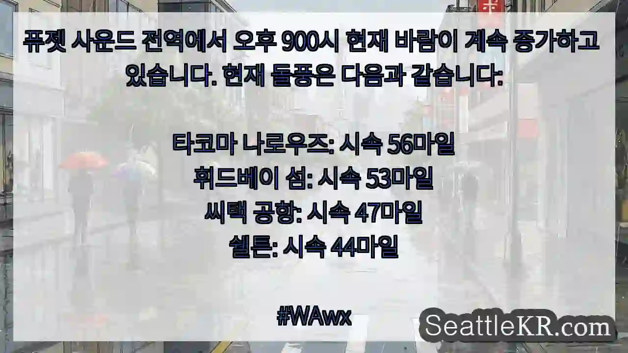 퓨젯 사운드 전역에서 오후 900시 현재 바람이 계속 증가하고 있습니다. 현재 돌풍은