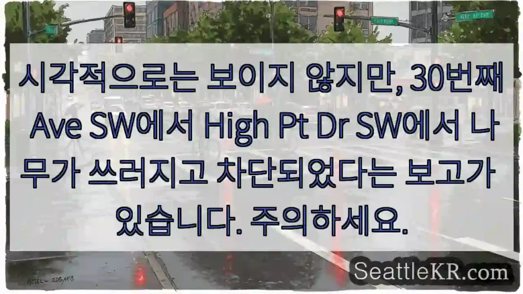 시각적으로는 보이지 않지만, 30번째 Ave SW에서 High Pt Dr SW에서 나무가