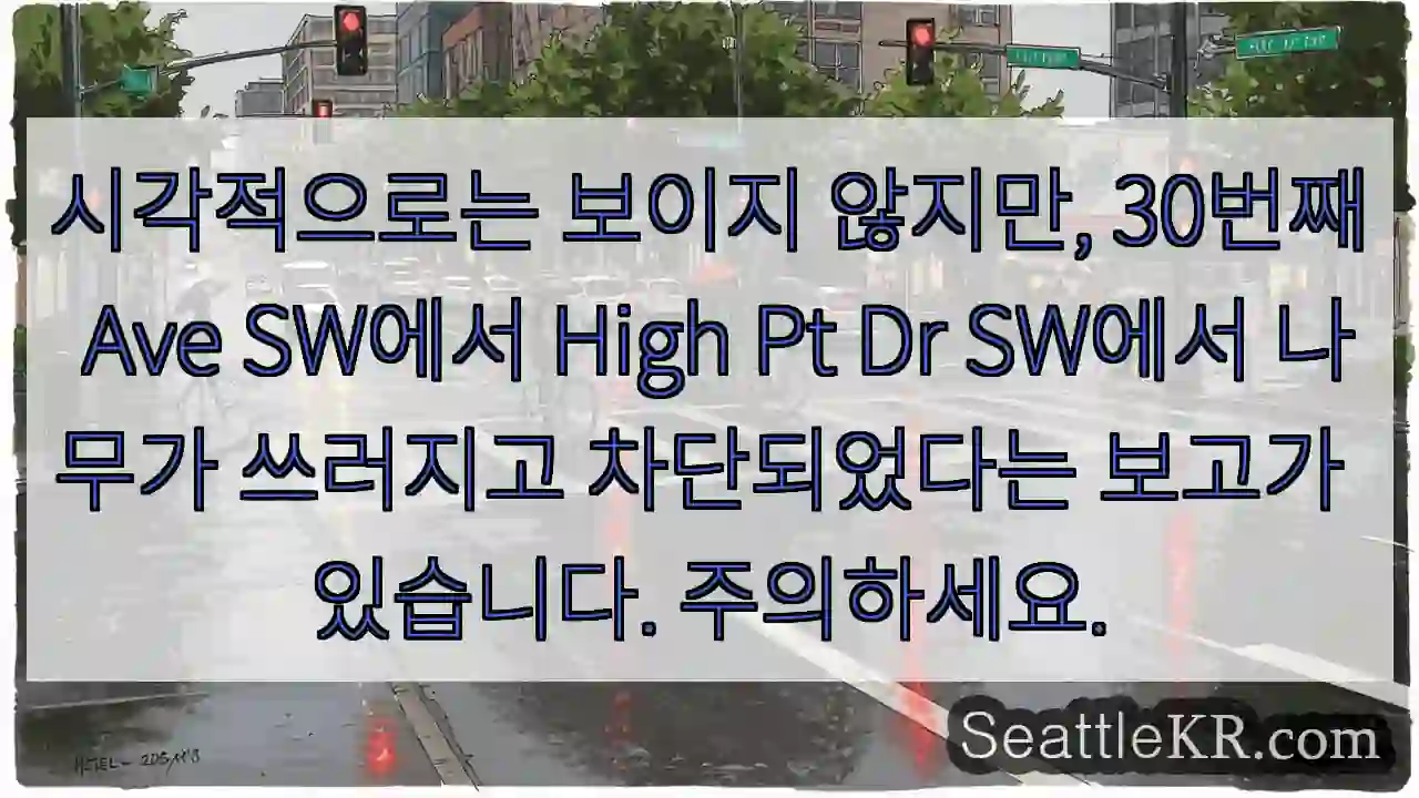 시각적으로는 보이지 않지만, 30번째 Ave SW에서 High Pt Dr SW에서 나무가