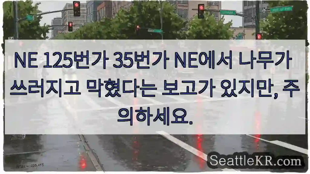 NE 125번가 35번가 NE에서 나무가 쓰러지고 막혔다는 보고가 있지만, 주의하세요.