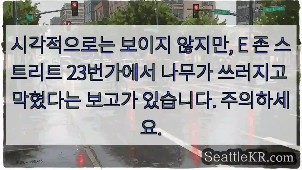 시각적으로는 보이지 않지만, E 존 스트리트 23번가에서 나무가 쓰러지고 막혔다는 보고가