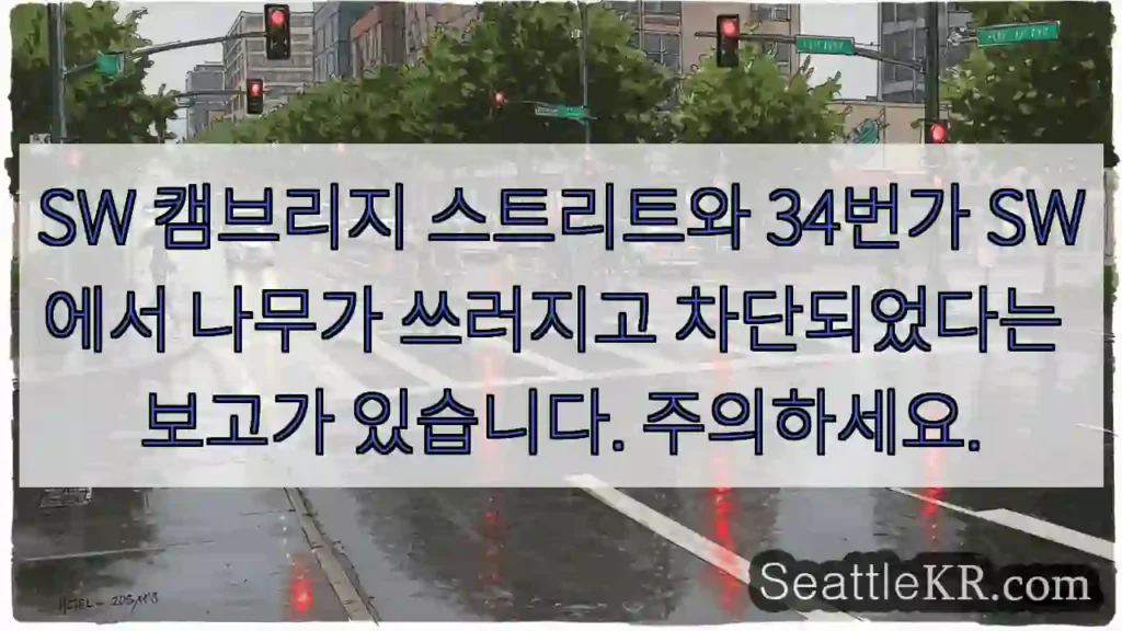 SW 캠브리지 스트리트와 34번가 SW에서 나무가 쓰러지고 차단되었다는 보고가 있습니다.
