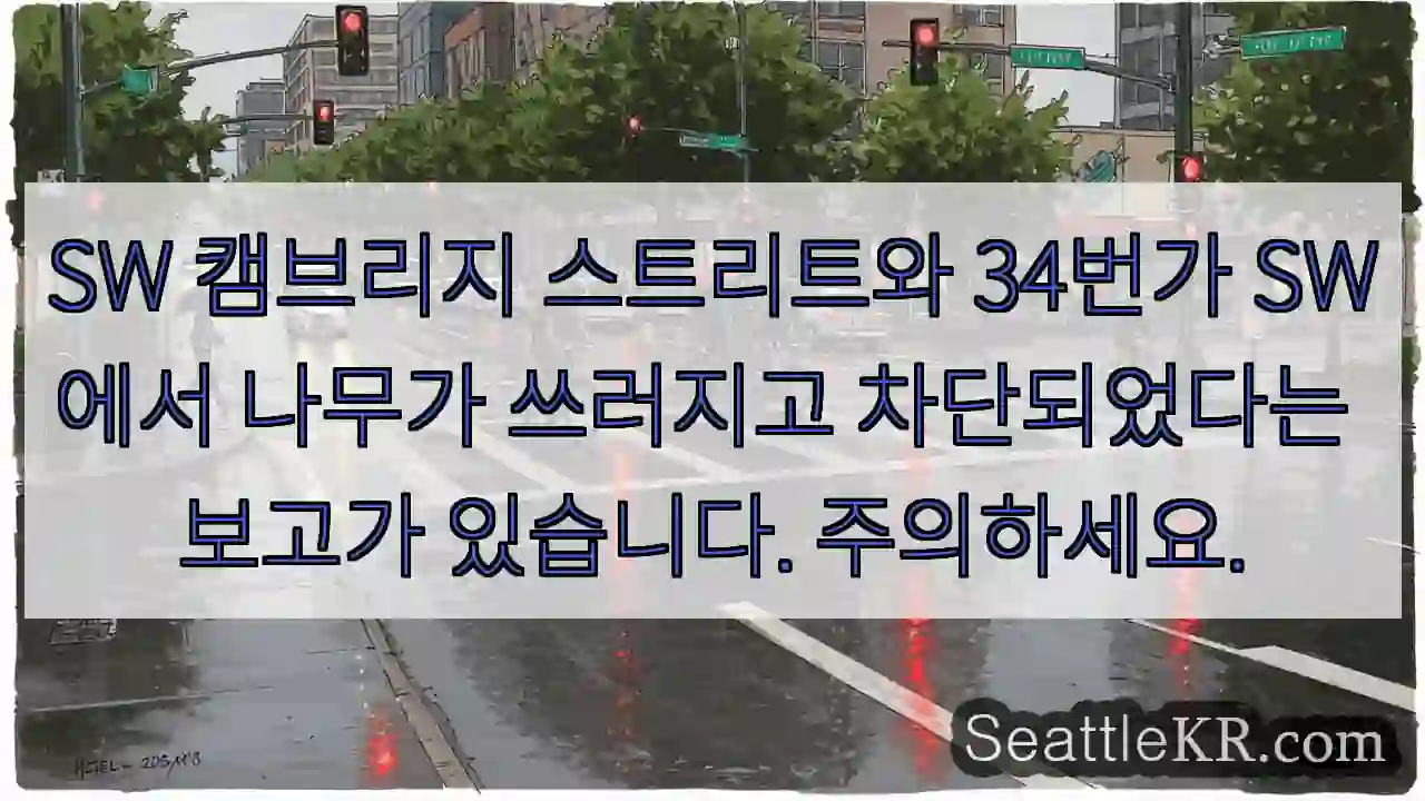 SW 캠브리지 스트리트와 34번가 SW에서 나무가 쓰러지고 차단되었다는 보고가 있습니다.