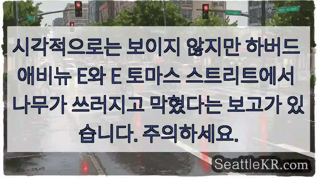 시각적으로는 보이지 않지만 하버드 애비뉴 E와 E 토마스 스트리트에서 나무가 쓰러지고