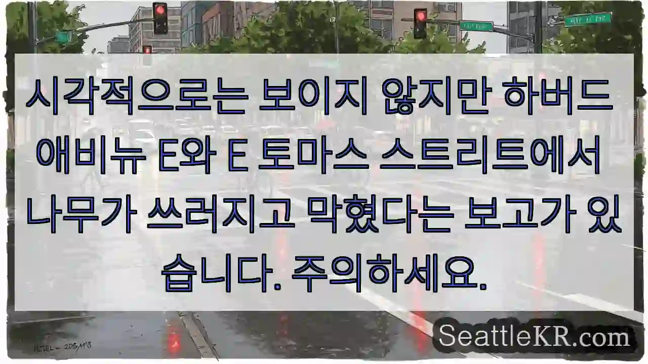 시각적으로는 보이지 않지만 하버드 애비뉴 E와 E 토마스 스트리트에서 나무가 쓰러지고