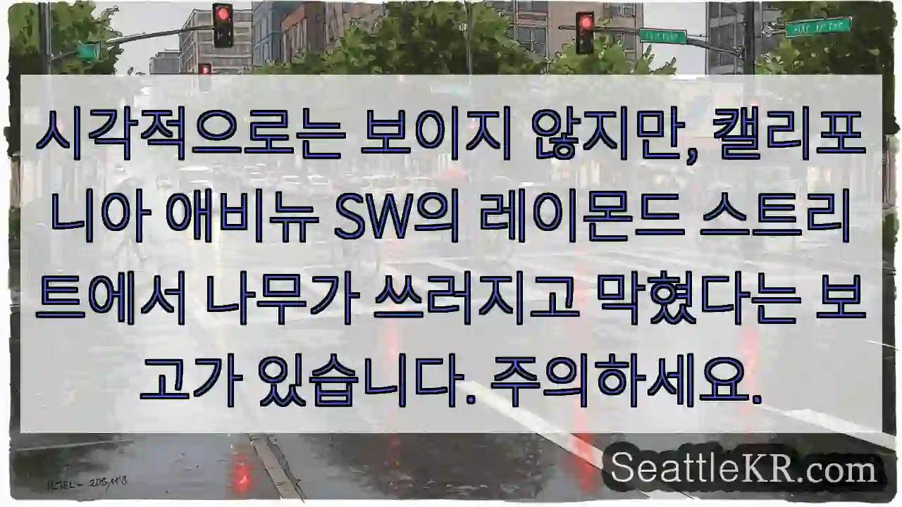 시각적으로는 보이지 않지만, 캘리포니아 애비뉴 SW의 레이몬드 스트리트에서 나무가