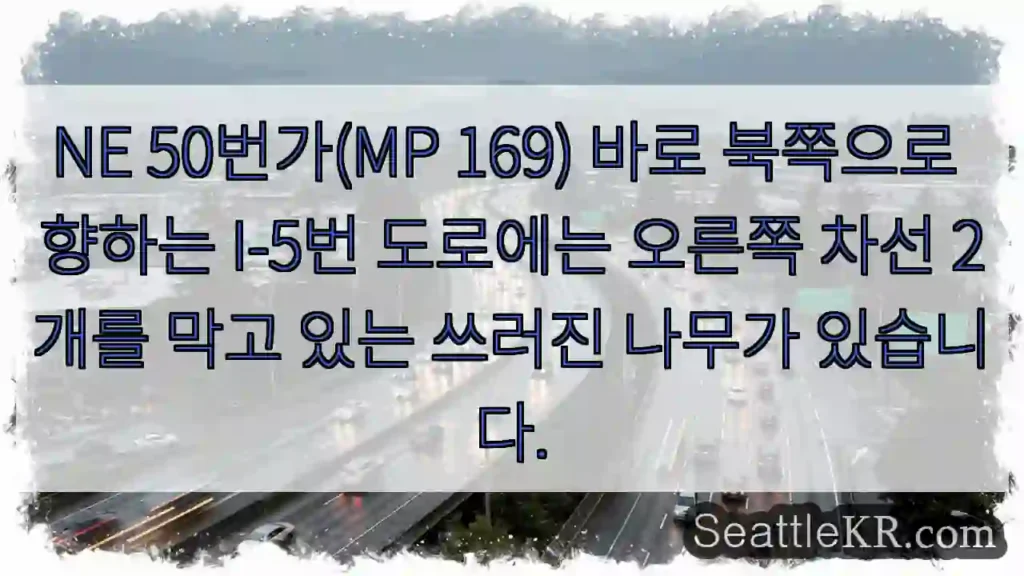 NE 50번가(MP 169) 바로 북쪽으로 향하는 I-5번 도로에는 오른쪽 차선 2개를