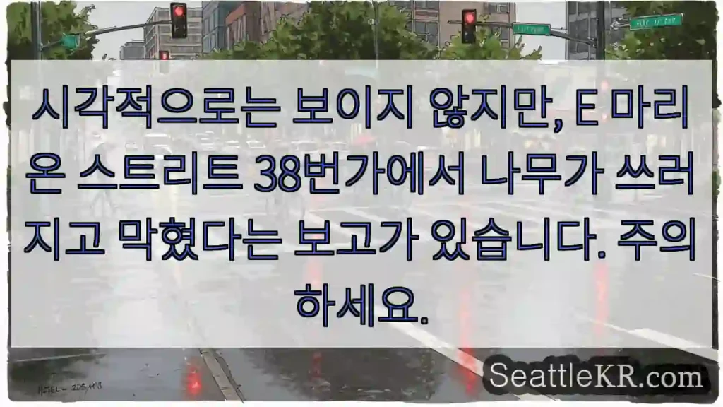 시각적으로는 보이지 않지만, E 마리온 스트리트 38번가에서 나무가 쓰러지고 막혔다는
